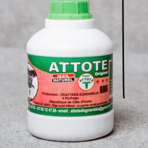 Attote original de Côte d'Ivoire